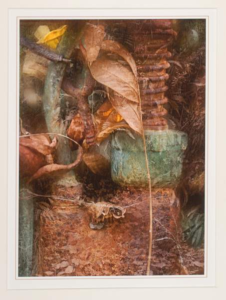 Piston Spring by Brian Beaney 7504.jpg - Fison Cup (Creative) - Brian Beaney FRPS - Piston Spring